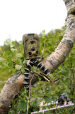 Little Acorn LTL-5210A 940nm Low Glow LTL Acorn 5210A 940 No Glow 12MP Blue LED IR Scouting Camera